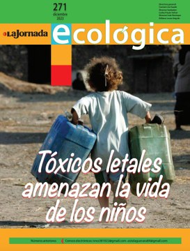 Portadita 271.jpg