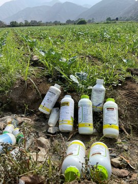 Botellas plaguicidas.jpg