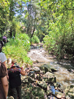 La educación ambiental sí es posible en América