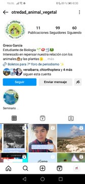 Screenshot_20250307_203008_com.instagram.lite.jpg