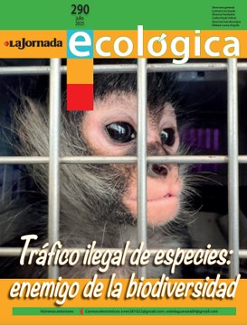 Portadita 290.jpg