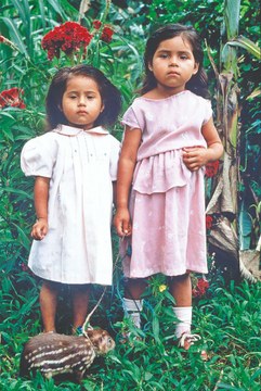 16 - Chimalalpas Tres Picos1993.jpg