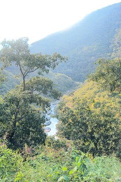 Río Portamonredas.JPG