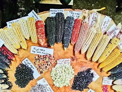 Foto 1 Salvador González Arroyo.jpg