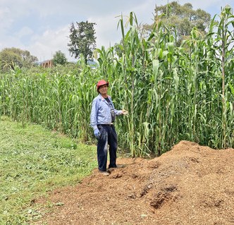 Sistemas agropecuarios sustentables: experiencias en comunidades de aprendizaje