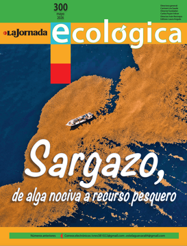 Portadita 300.png