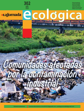 Portadita 302.png