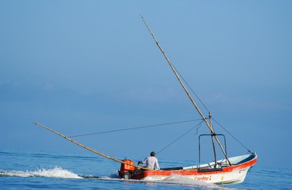 Pescador de pulpos.jpg