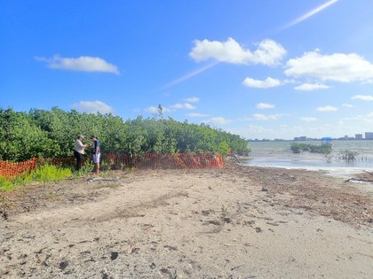 Playa Mexitos en APFF Manglares de Nichupté_credito Jaime Zaldivar Rae.JPG