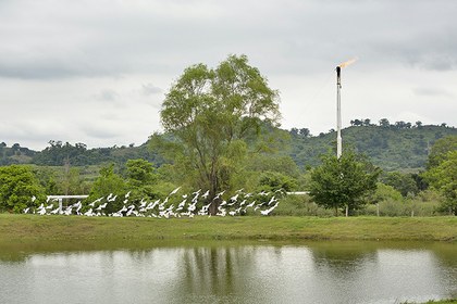 Aves y Fracking-Agua_Fria-Avispa Midia.jpg
