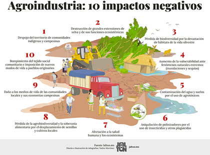 DiezImpactosNegativosDeLaAgroindustriaEnLaPYAlta-1024x756.png