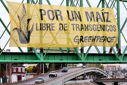 Greenpeace 1a.jpeg