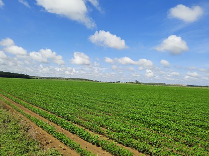 IMG20230827091413.jpg