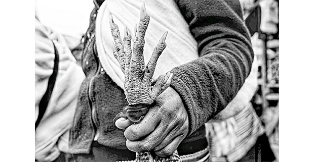 Mano a mano, Chiapas. Foto: Mario OIarte