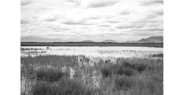Regreso solemne del lago de Texcoco, 2021. Foto: Mario Olarte