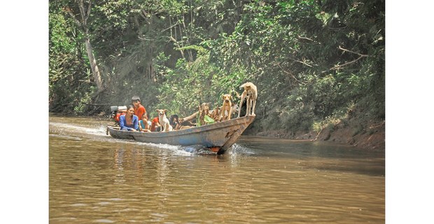 Familia Awajún navegando en una quebrada aledaña al Río Cenepa, Condorcanqui, Amazonas, Perú. Foto: Enrique Carrasco S. J.