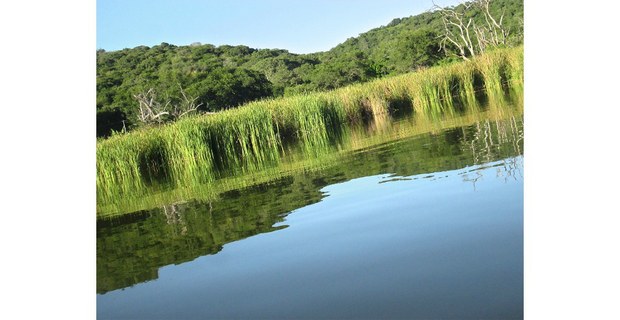 Laguna de Coatetelco, Morelos, 2021. Fotos: Hermann Bellinghausen