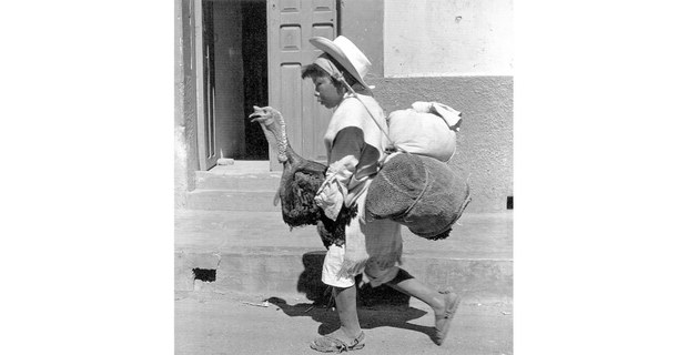 Niño con pavo, San Cristóbal, 1969. Foto: Marcey Jacobson 5