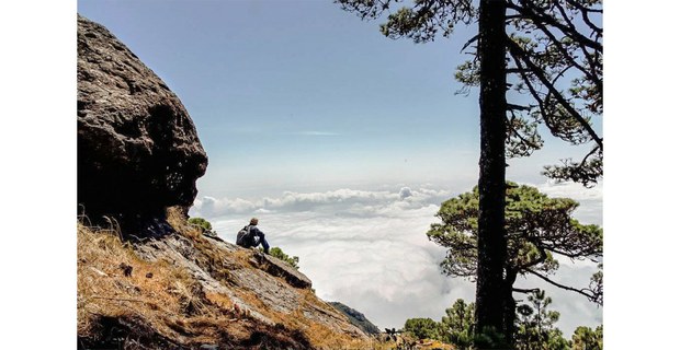 Panorámica de la Sierra Mixe. Foto: Damián Dositelo