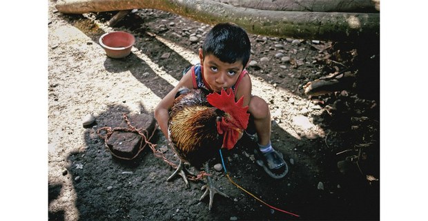 Entabladero, Veracruz, 2024. Foto: Mario Olarte