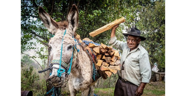 Pueblos Mancomunados, Oaxaca, 2024. Foto: Elí García-Padilla