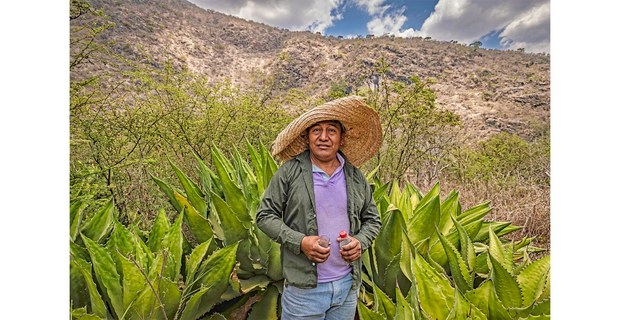 Don Trini, Tecuán, Acatlán, Guerrero, 2025. Foto: Elí García-Padilla