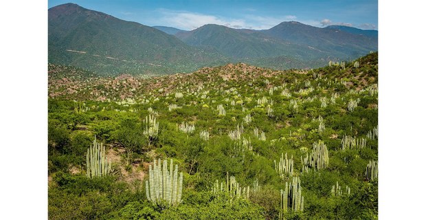 Paisaje mixteco. Foto: Elí García-Padilla