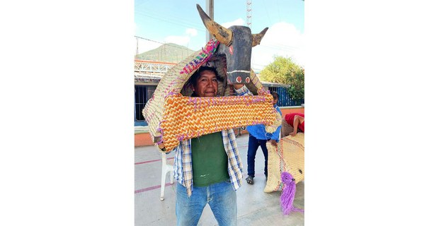 Toro de madera. Atzacoaloya, Guerrero. Foto: Martín Tonalmeyotl