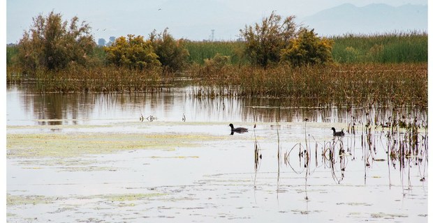 Lago de Texcoco, Atenco. Foto: Alberto Ramos