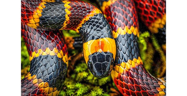 Oaxaca, México. Foto: Elí García-Padilla