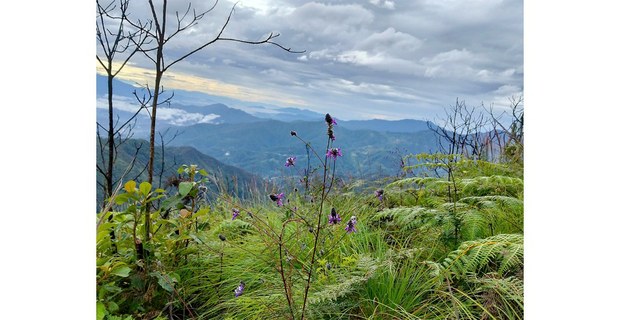 Aquí el tiempo no pasa, Montaña de Guerrero. Foto: Florentino Solano
