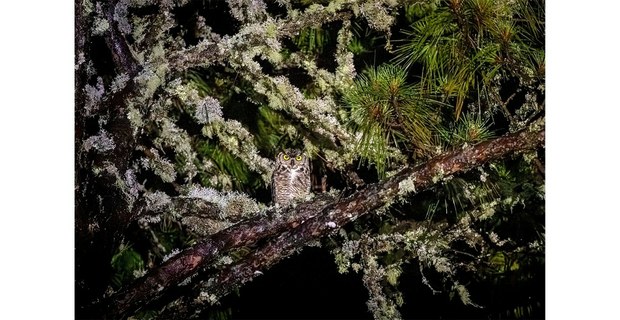 Foto: Elí García-Padilla