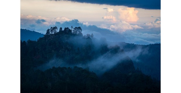 Bosques comunitarios de la Sierra Norte, Oaxaca. Foto: Elí García-Padilla