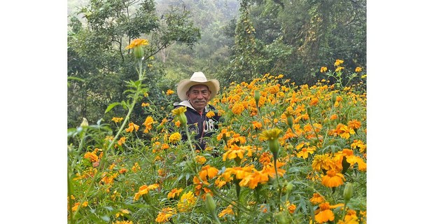 Atzacoaloya, Guerrero, 2025. Foto: Martín Tonalmeyotl
