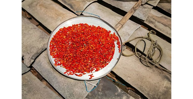 Chilitos, Cuetzalan, Puebla. Foto: Víctor Mendiola