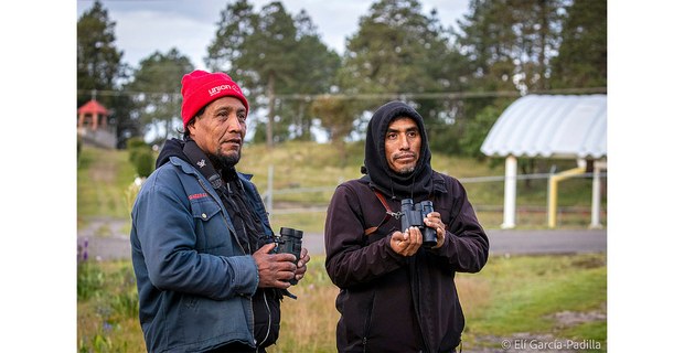 Leonel Bautista Bautista (derecha) en el proceso de capacitación en observación de aves para las empresas comunitarias de ecoturismo de la Sierra Norte de Oaxaca. Foto: Elí García-Padilla