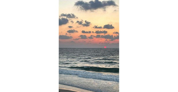 La costa de la Franja de Gaza en fechas recientes. Foto: Dima Shamaly