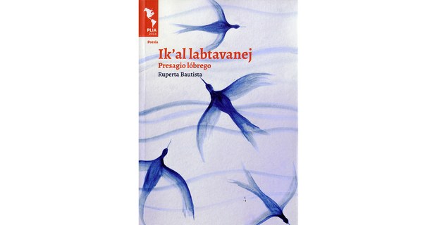 Ilustración de Jessica Mitsy Reyes Juárez. PLIA, UdG, 2025