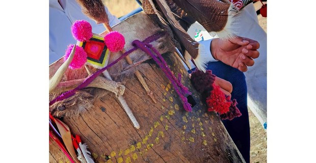 Ofrendas e instrumentos del Xiriki usados durante la inauguración del Xiriki en Makwipa, Zacatecas