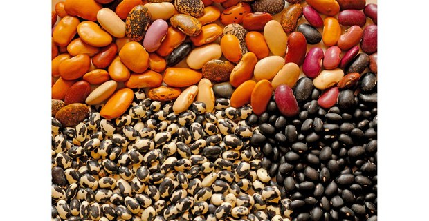 Frijoles ayacote, pinto y negro. Foto: Justine Monter Cid