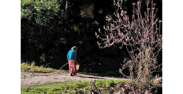 Camino al molino. Tlahuitoltepec Mixe, Oaxaca. Foto: Damián Dositelo
