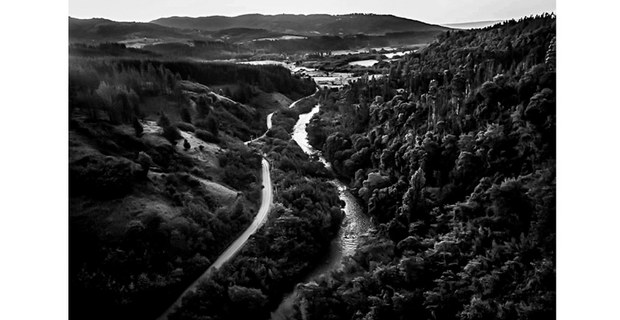 Viaducto sobre el río Malleco, en la ciudad de Collipulli. El Decreto Ley 701, dictado en 1974 por Augusto Pinochet, subvencionó el 75 por ciento de los monocultivos de pinos y eucaliptos, que ocupan millones de hectáreas de antepasados mapuche. En esa zona se han multiplicado las recuperaciones territoriales de distintas comunidades. Provincia de Malleco, Araucanía, Chile. Foto: Pablo E. Piovano.