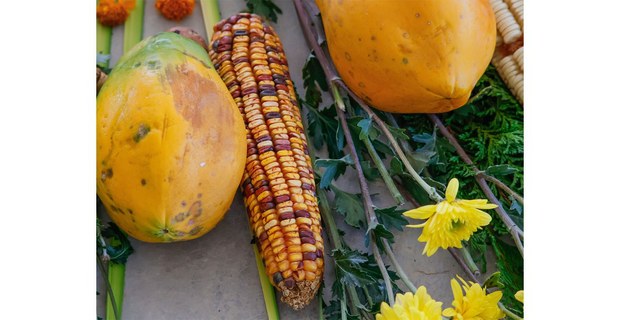 Detalle de la ofrenda, en la Asamblea de la Red en Defensa del Maíz, Cuatecomaco, Veracruz, marzo de 2026. Foto: Gerardo Magallón