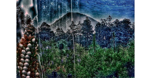Fotomontaje del proyecto Cherán K’eri, el Cantar del Bosque, que acompaña la memoria y la defensa del territorio en dicha comunidad p’urépecha. Cortesía: Malely Linares Sánchez
