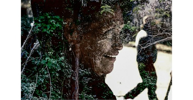 Fotomontaje del proyecto Cherán K’eri, el Cantar del Bosque, que acompaña la memoria y la defensa del territorio en dicha comunidad p’urépecha. Cortesía: Malely Linares Sánchez