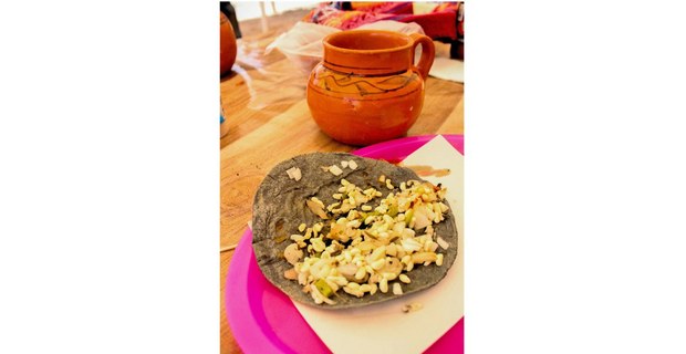 Pulque. Santiago de Anaya, Hidalgo. Fotos: Justine Monter Cid