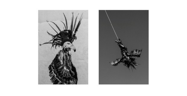 Volador. Festival de danza en Comonfort, Guanajuato. Foto: Mario Olarte