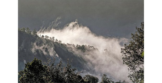 Sierra Mixe, Oaxaca, 2026. Foto: Damián Dositelo