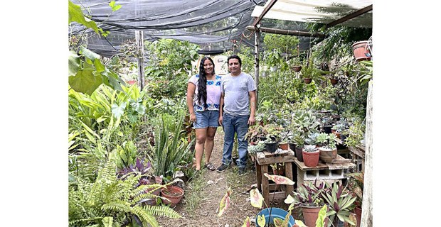 Valiana Aguilar y Ángel Ku en el solar Suumil Móokt’aan. Sinanché, Yucatán, 2026. Foto: Alejandro Ruiz